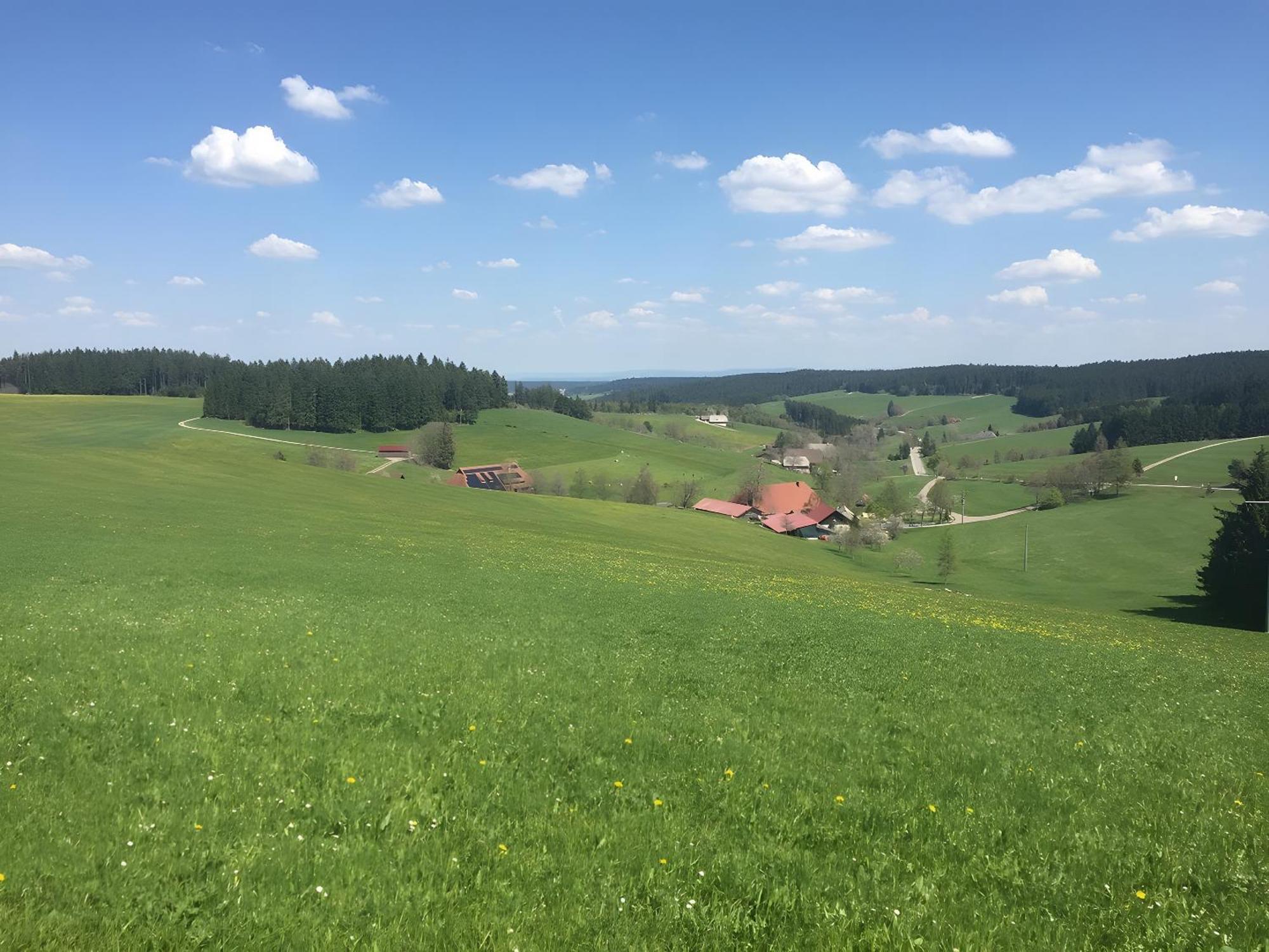 Blackforest Ferienwohnung Sankt Georgen im Schwarzwald Esterno foto